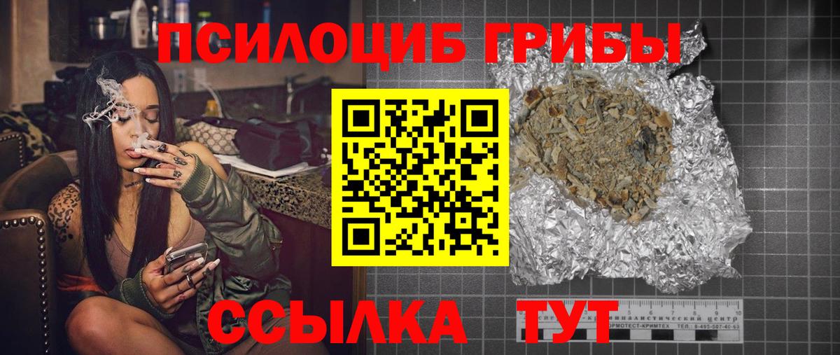 Губкинский  Галлюциногенные грибы мицелий  Вход с VPN  купить наркотик  Псилоцибиновые грибы Psilocybine cubensis 